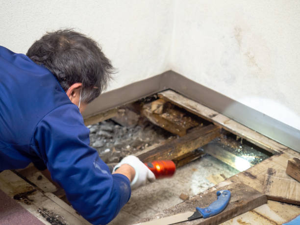 Best Water Damage Restoration  in Oak Park, MI