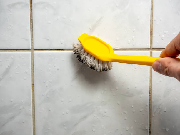 Best Mold Remediation  in Oak Park, MI