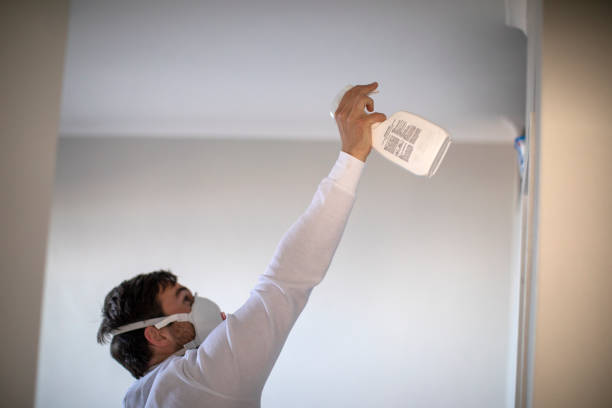 Mold Removal Process in Oak Park, MI